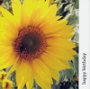 Card - Happy Birthday, Yellow Sunflower with NIV Scripture Text