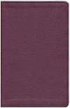 ESV Value Thinline Bible, Chesnut - Soft Leather-Look