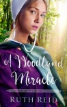 A Woodland Miracle, Amish Wonders Series
