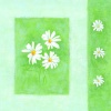 Ladies Blank Card - White flowers