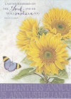Get Well Card - Helianthus Annuus - Psalm 55 vs 22