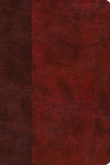 ESV Story of Redemption Bible, Burgundy/Red TruTone