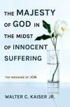 The Majesty of God in the Midst of Innocent Suffering, Message of Job 