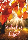 Tract - What is Life  (pack of 100)