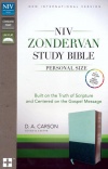 NIV Zondervan Study Bible, Personal Size, Leather look, Sea Glass/Caribbean Blue