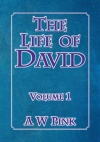The Life of David (vol 1) - CCS