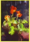 Card - Flowers