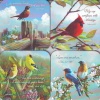 Coasters - Birds with Verses of Encouragement - set of 4