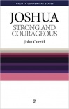 Joshua: Strong and Courageous - Welwyn Commentary Series