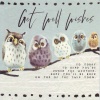 Card - Get Well Wishes - Owls
