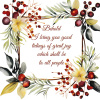 Christmas Cards -Behold I Bring (pack of 10) CMS