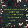 Christmas Cards - Winter Sprigs (pack of 10) CMS