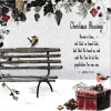 Christmas Card - Christmas Blessings 1 John 4:10 - CMS