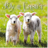 Easter Cards - Joy at Easter (Pack of 5) ESC