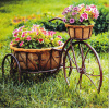 Just to say - Floral Bicycle - S204