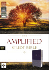 Amplified Study Bible, Leathersoft, Purple, Thumb Index (Indexed)