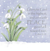Christmas Cards - Snowdrops (Pack of 5) CMS
