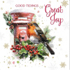 Christmas Cards - Robin Postbox Pack of 10