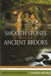 Smooth Stones taken from Ancient Brooks