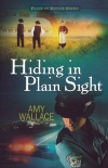 Hiding in Plain Sight - Places of Refuge Series