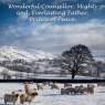 Christmas Card, Wonderful Counsellor, Sheep Fell - F2120 - CMS - Pack of 10