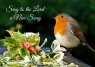 Christmas Card, Sing to the Lord, Robin & Berries - D2122 - CMS - Pack of 10