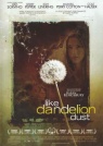 DVD - Like Dandelion Dust