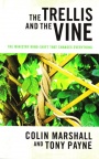 Trellis and the Vine